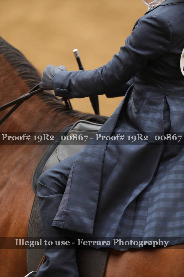 Proof 19R2_00867