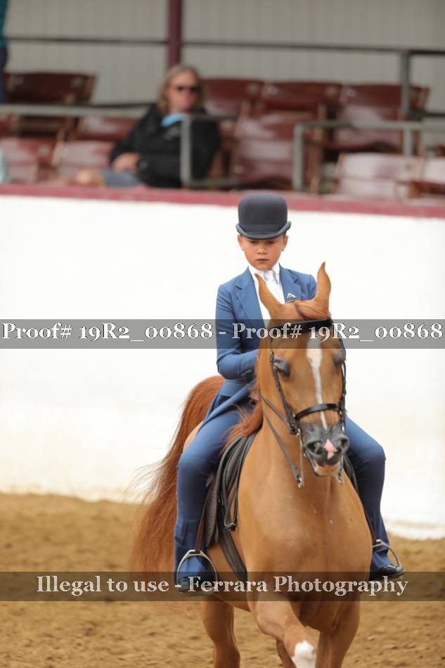 Proof 19R2_00868