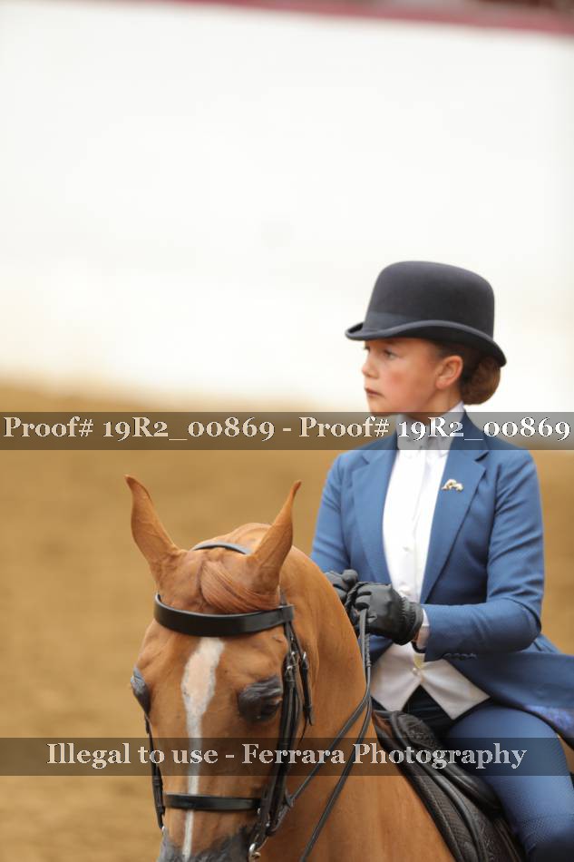 Proof 19R2_00869