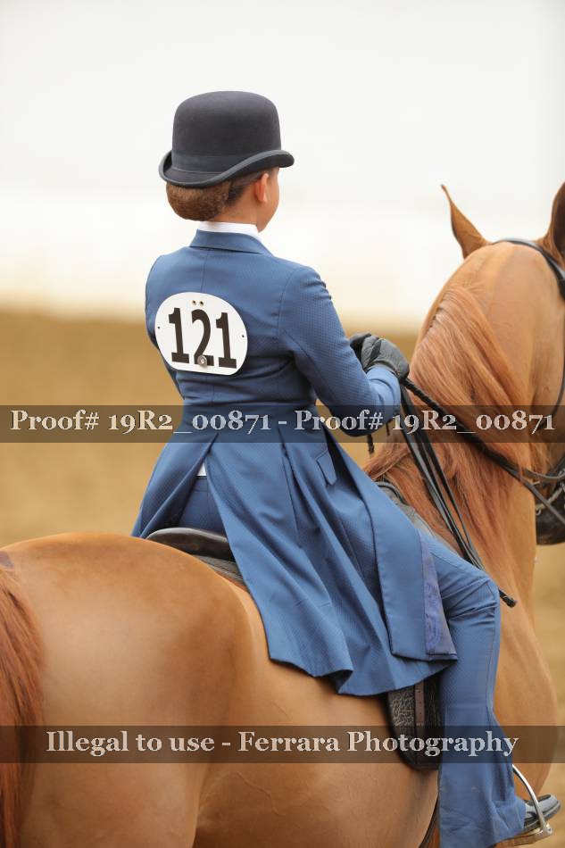 Proof 19R2_00871