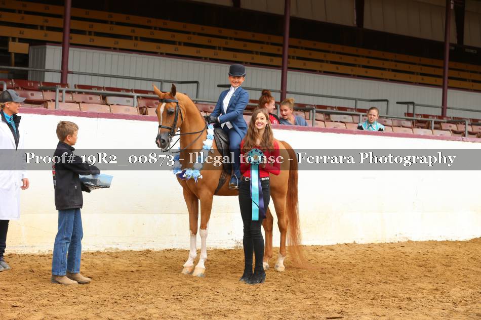 Proof 19R2_00873