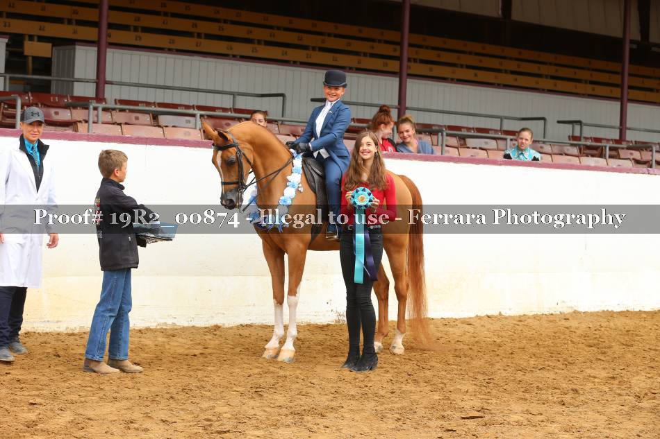 Proof 19R2_00874