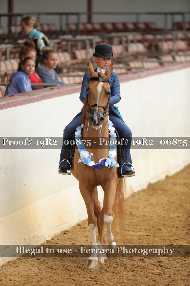 Proof 19R2_00875