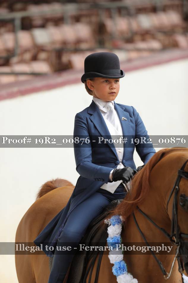Proof 19R2_00876