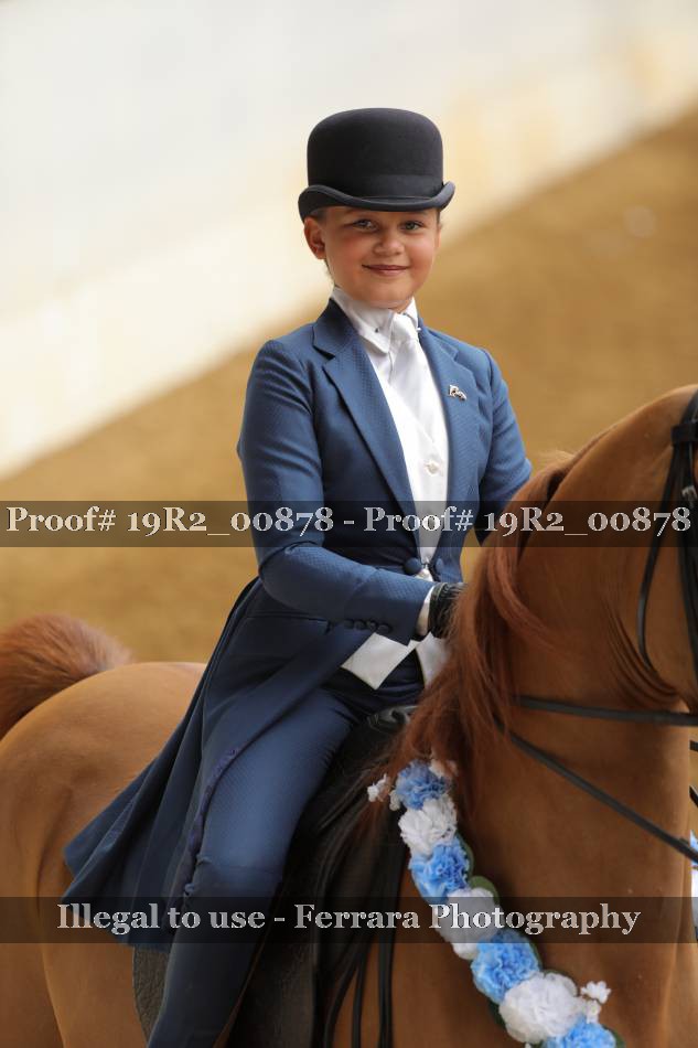 Proof 19R2_00878