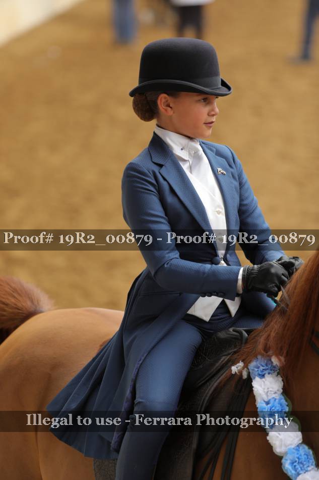 Proof 19R2_00879