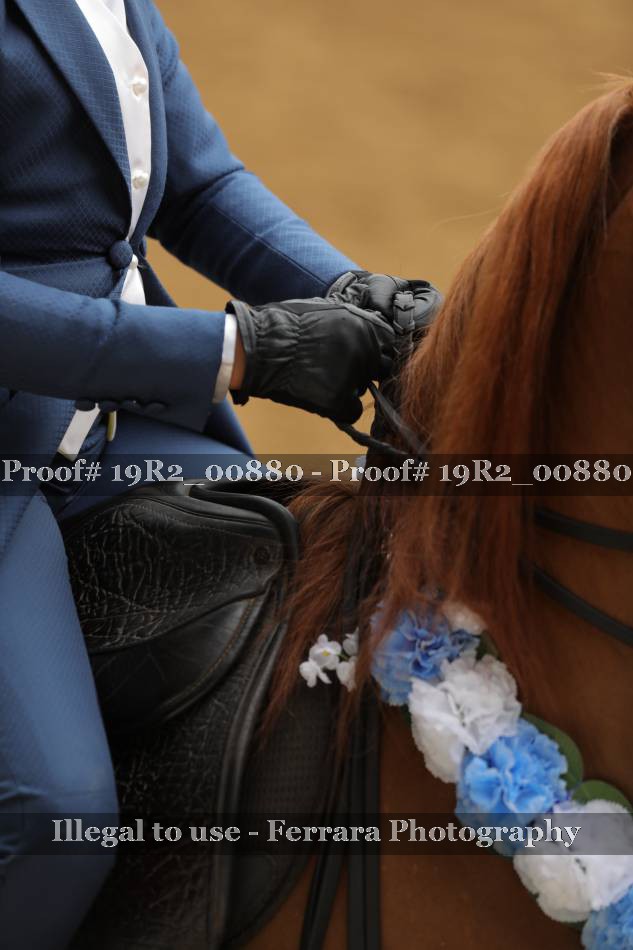 Proof 19R2_00880