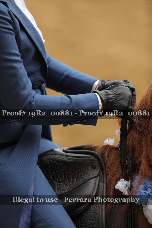 Proof 19R2_00881