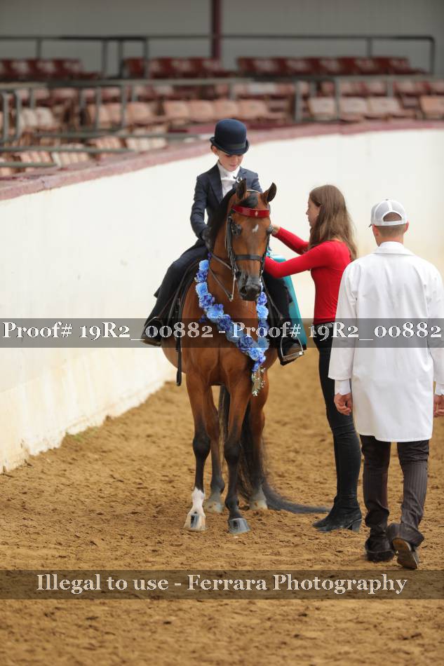 Proof 19R2_00882