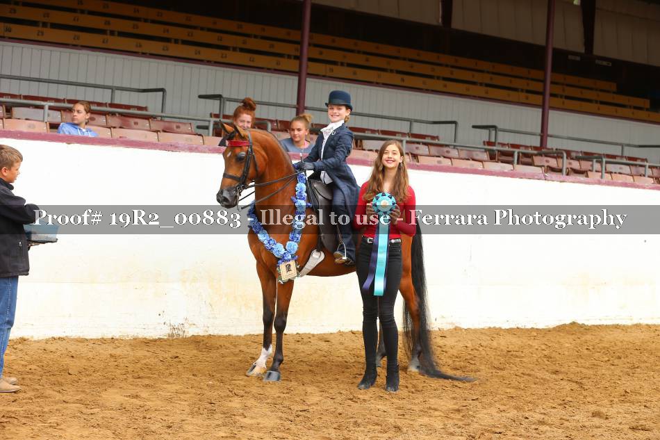 Proof 19R2_00883