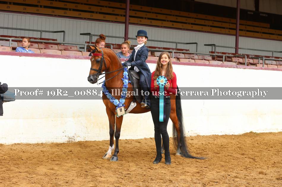 Proof 19R2_00884