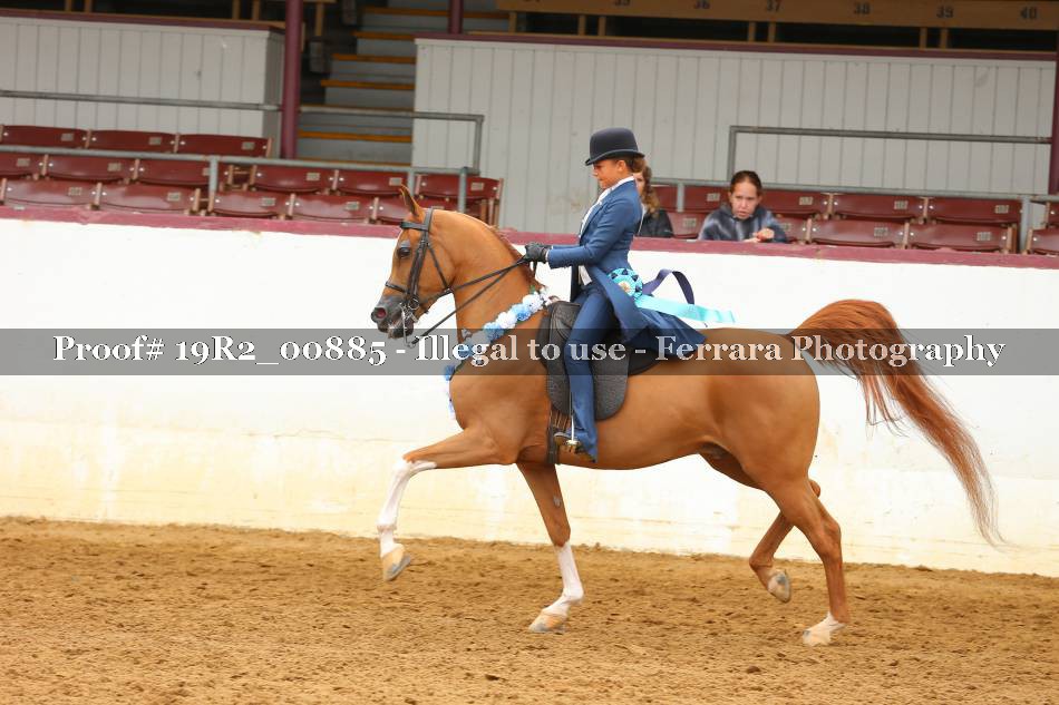 Proof 19R2_00885