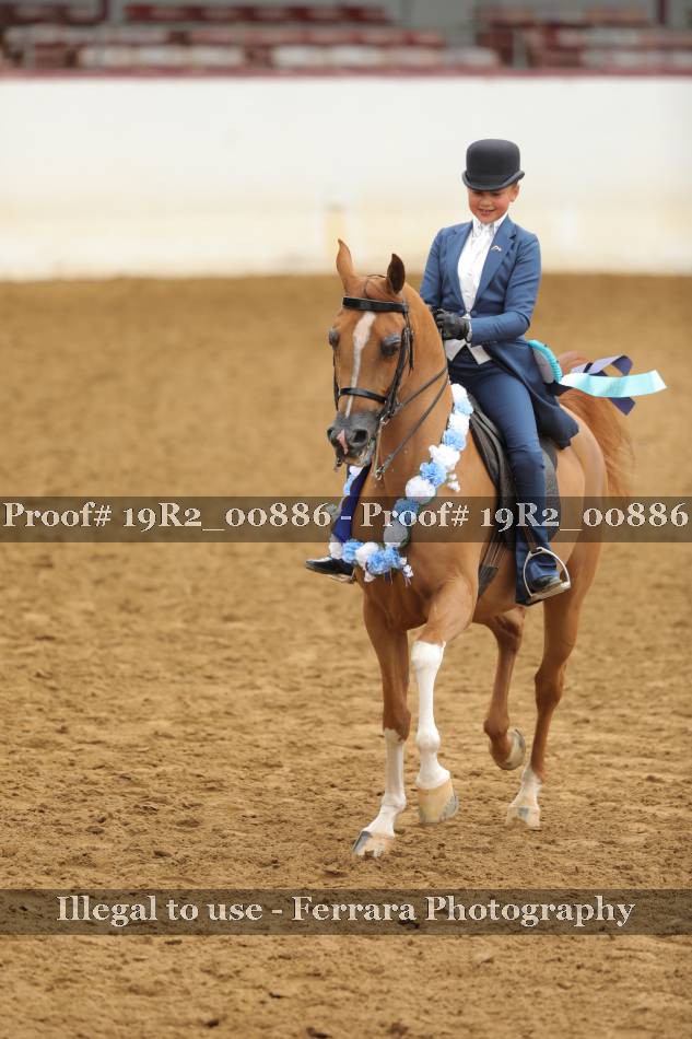 Proof 19R2_00886