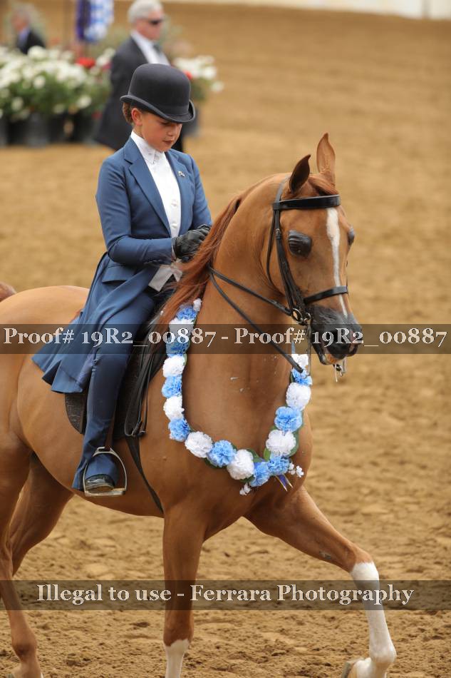 Proof 19R2_00887