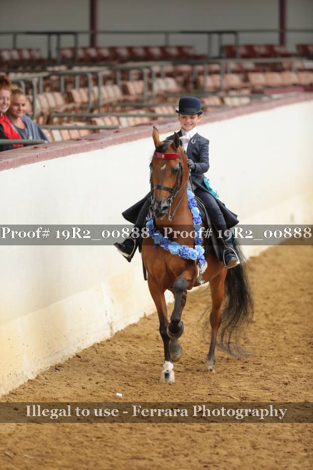 Proof 19R2_00888