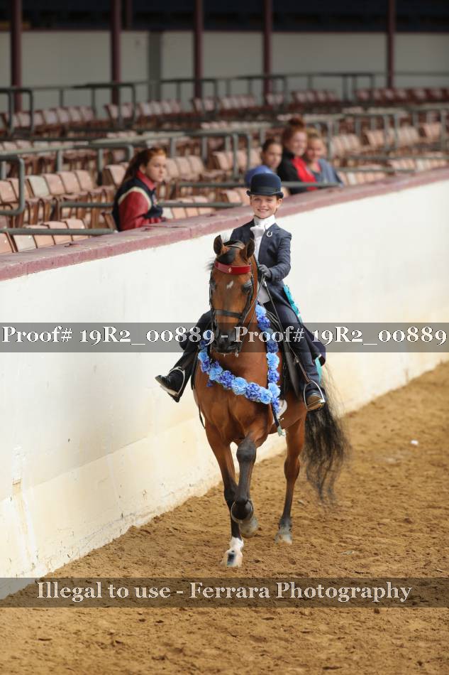 Proof 19R2_00889