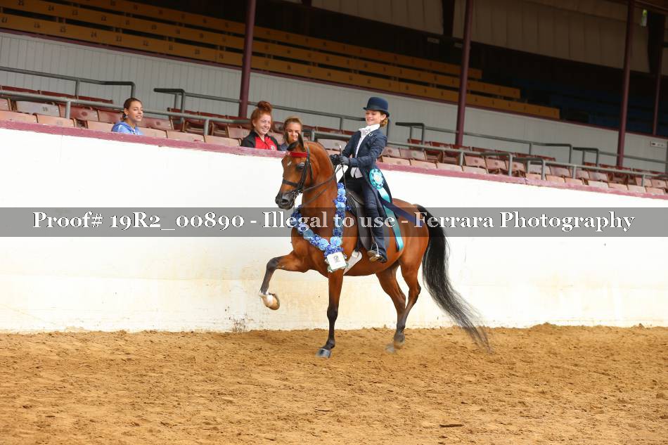 Proof 19R2_00890