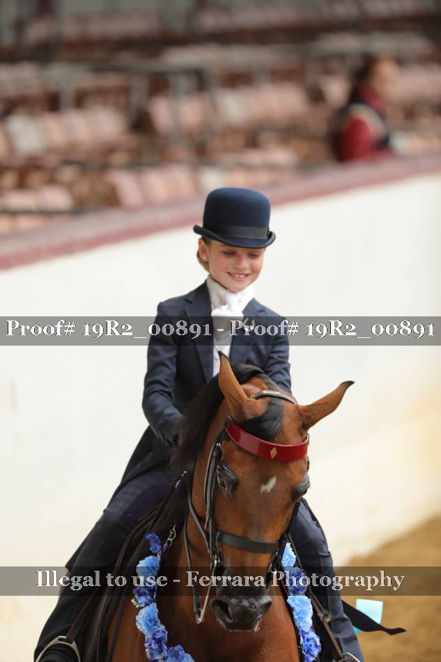 Proof 19R2_00891