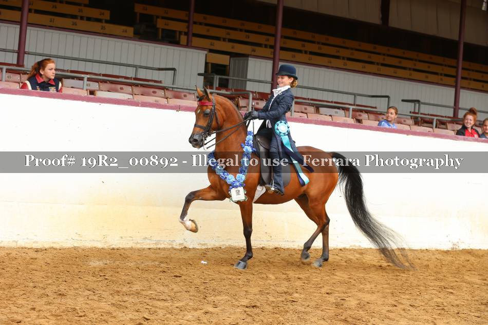 Proof 19R2_00892