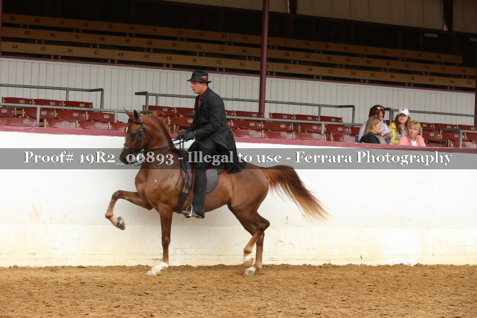 Proof 19R2_00893