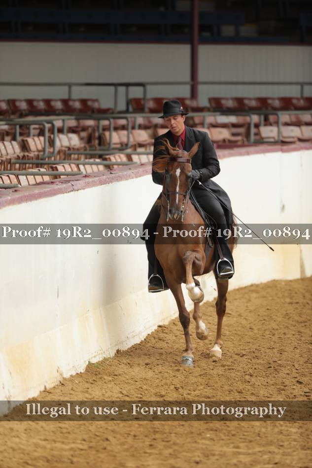 Proof 19R2_00894