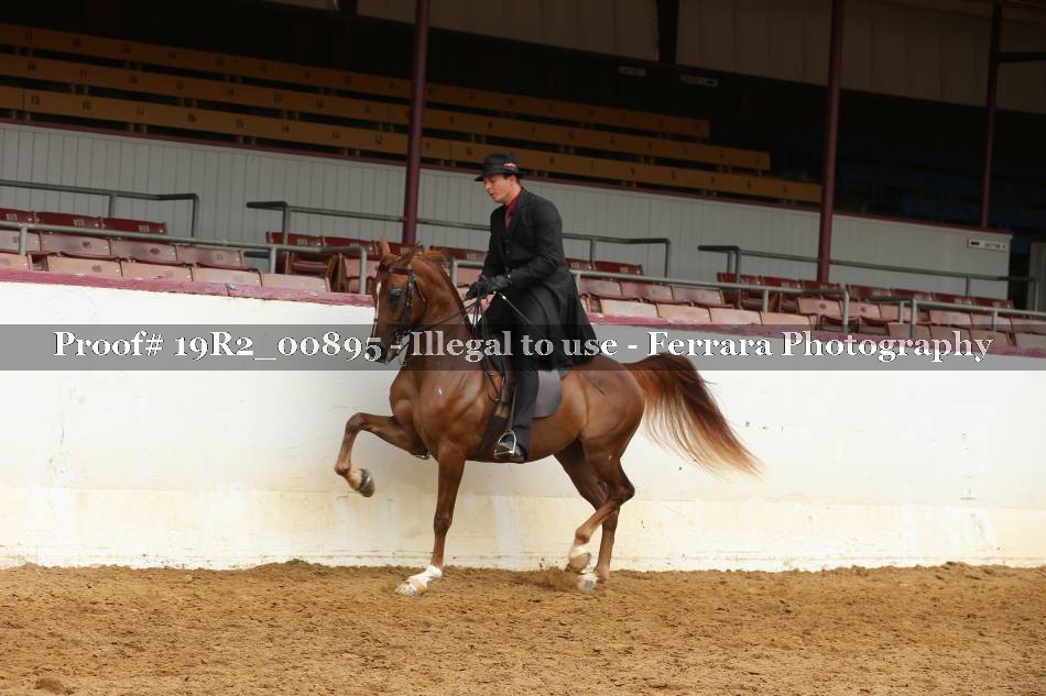 Proof 19R2_00895