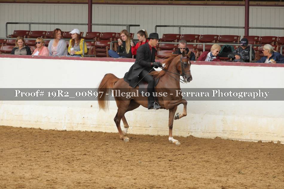 Proof 19R2_00897