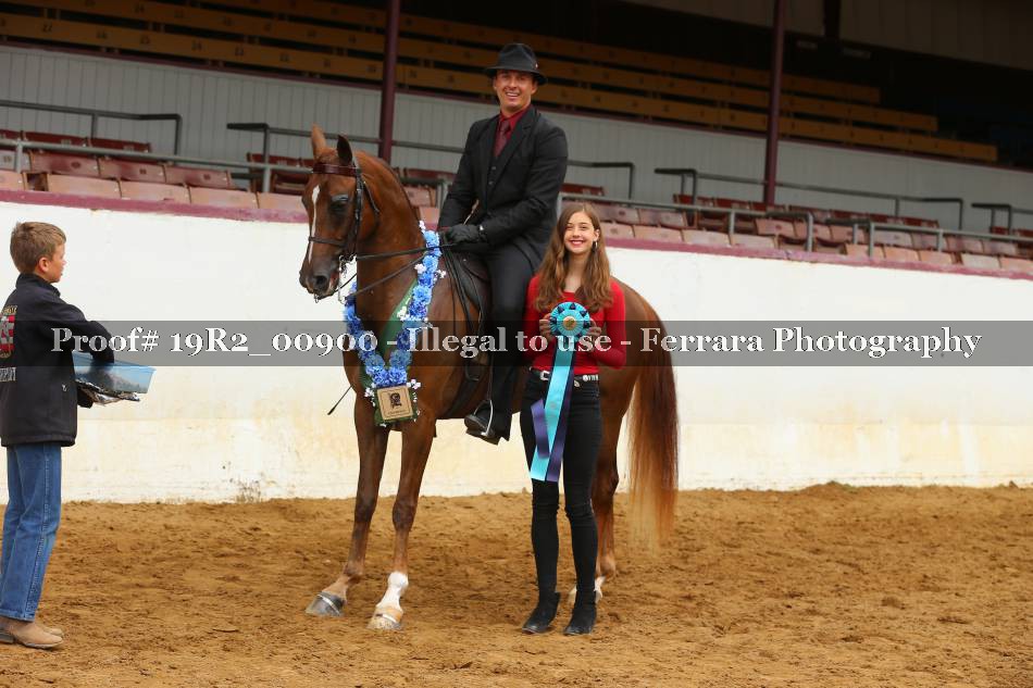 Proof 19R2_00900