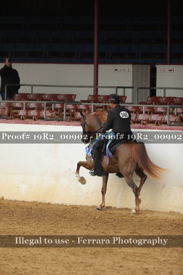 Proof 19R2_00902