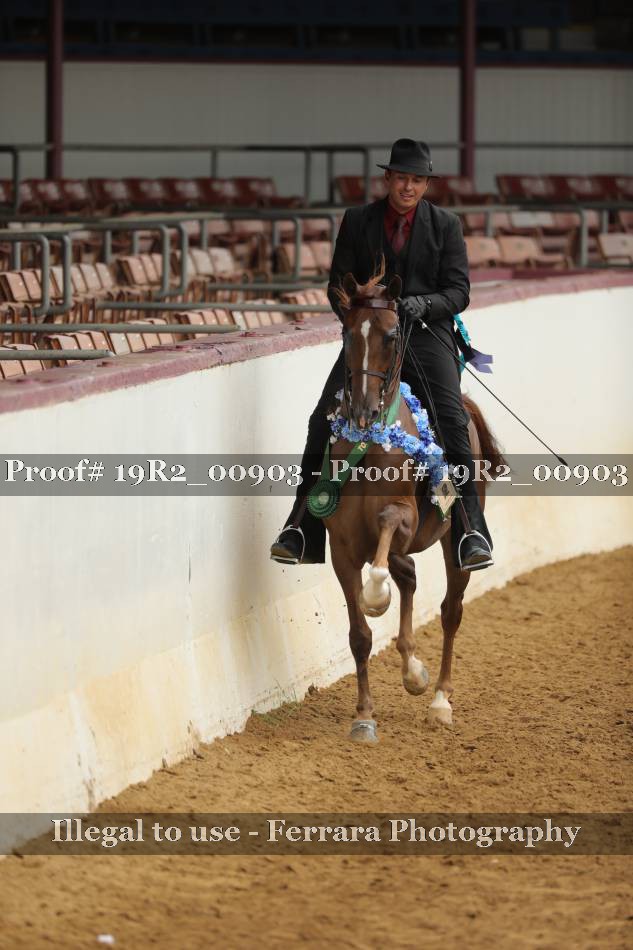 Proof 19R2_00903