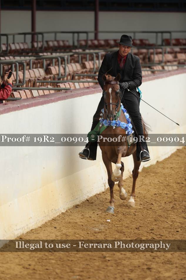 Proof 19R2_00904