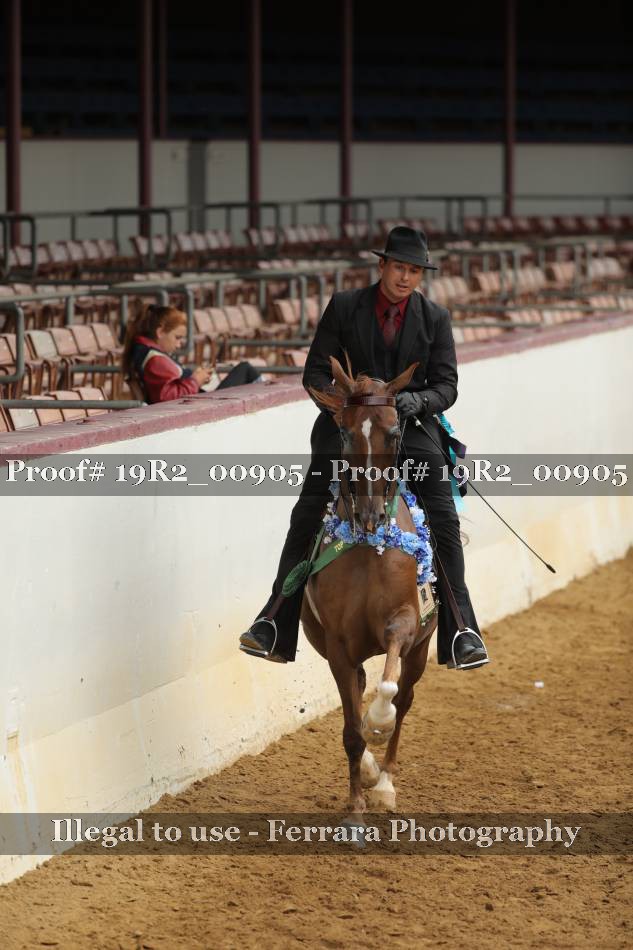 Proof 19R2_00905