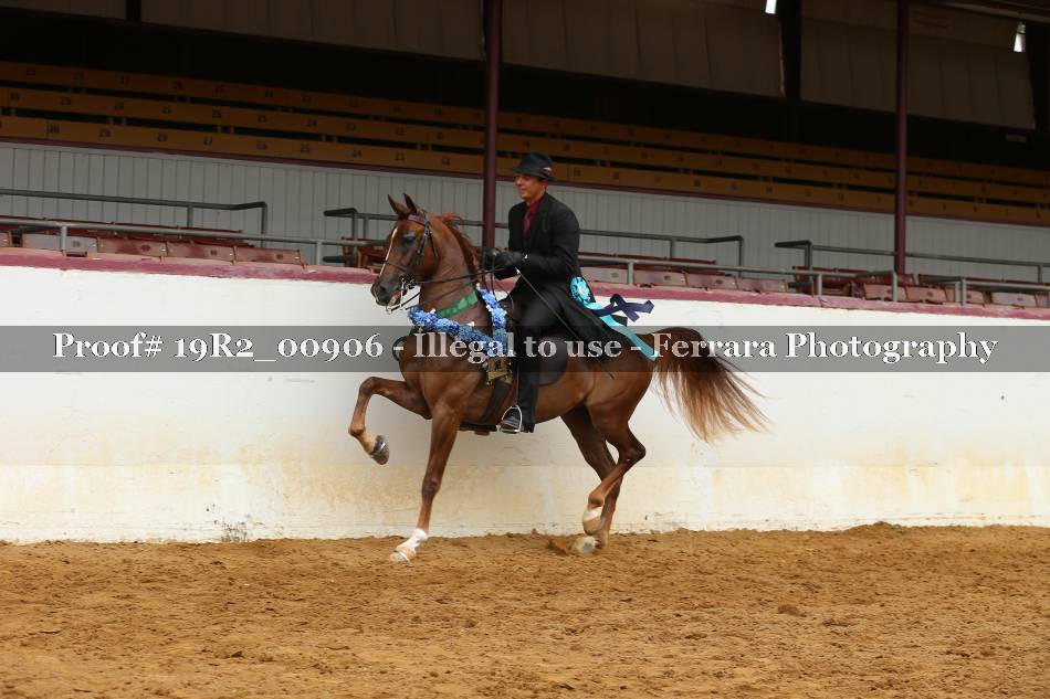 Proof 19R2_00906