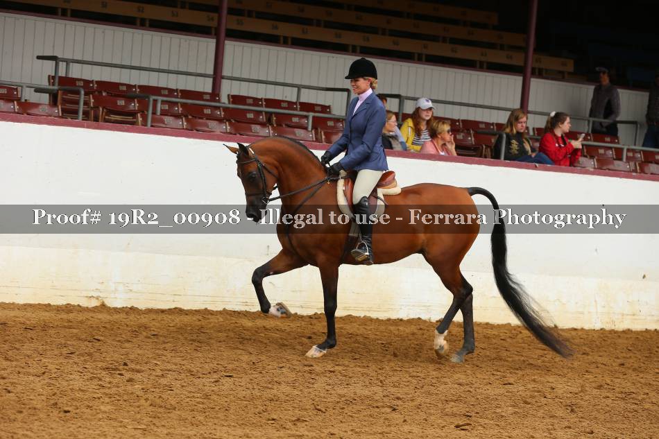 Proof 19R2_00908