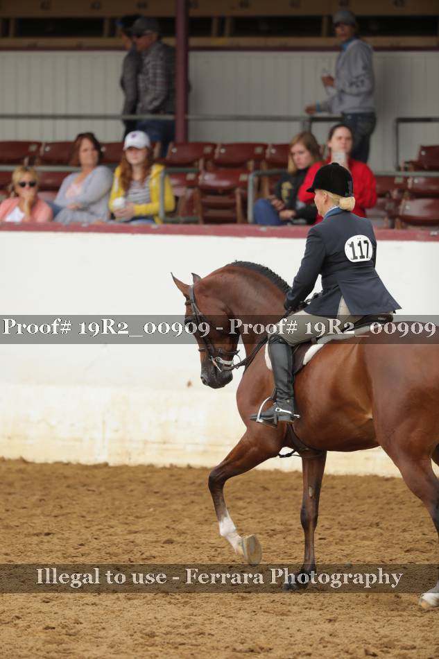 Proof 19R2_00909