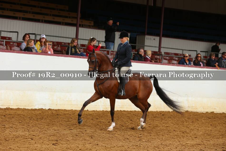 Proof 19R2_00910