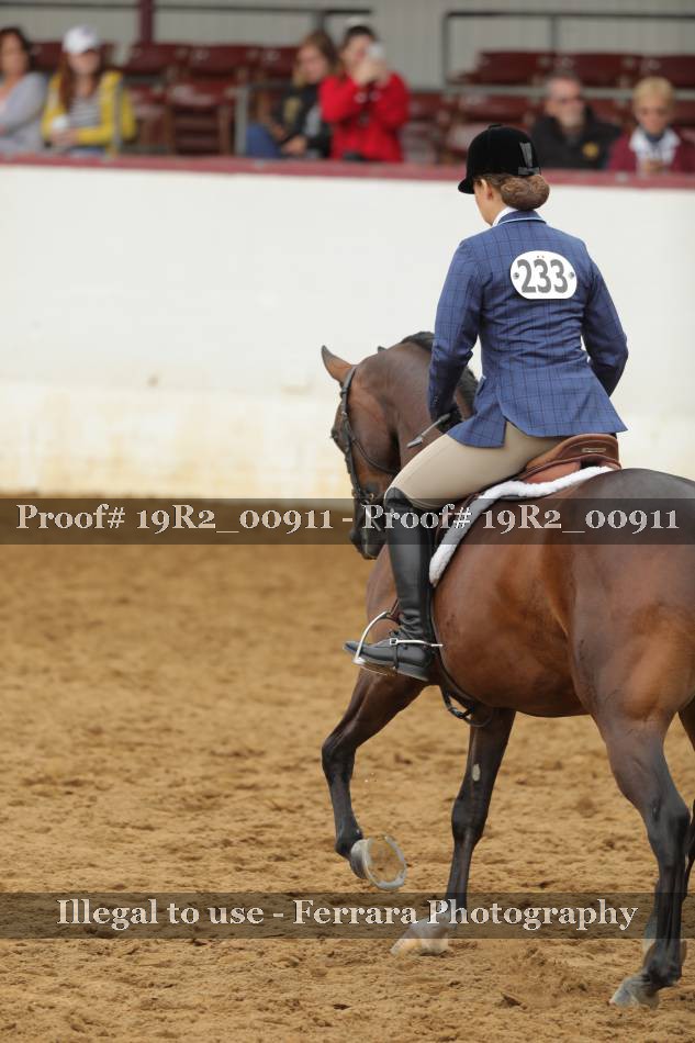 Proof 19R2_00911