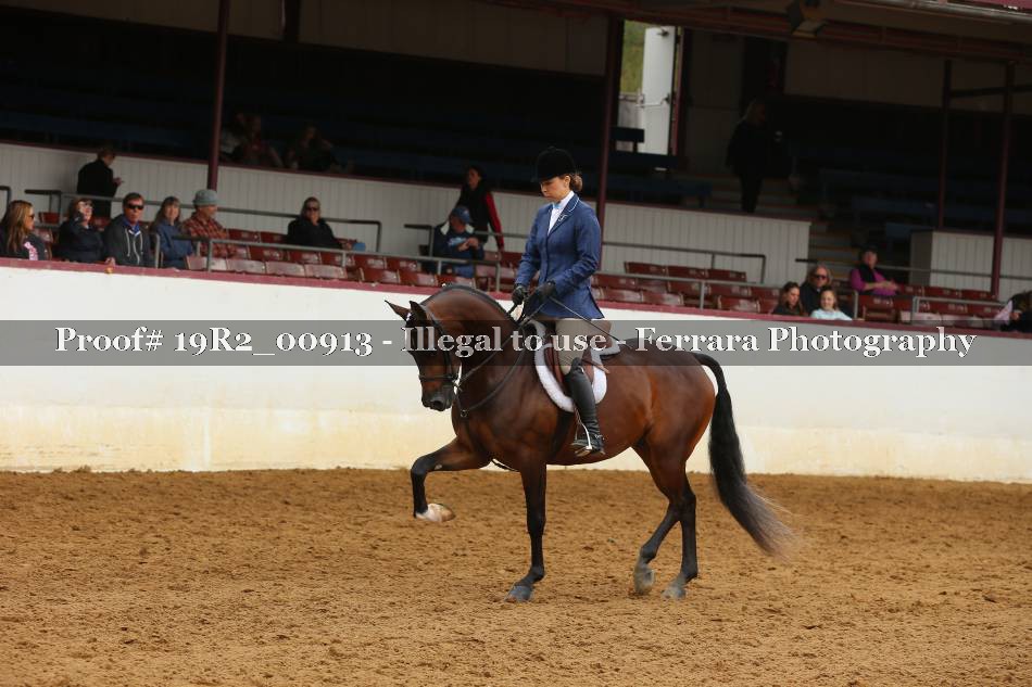 Proof 19R2_00913