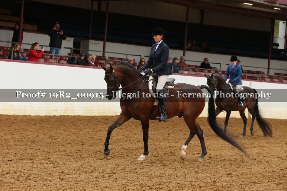 Proof 19R2_00915