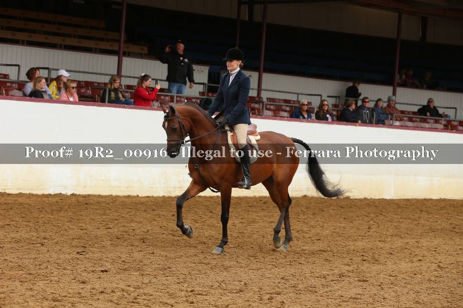 Proof 19R2_00916