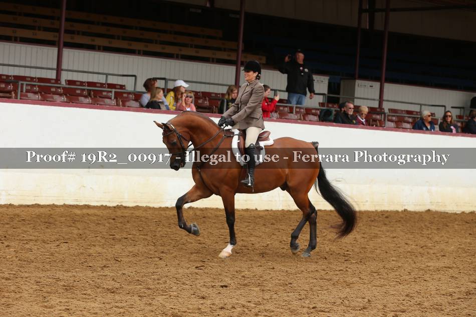 Proof 19R2_00917