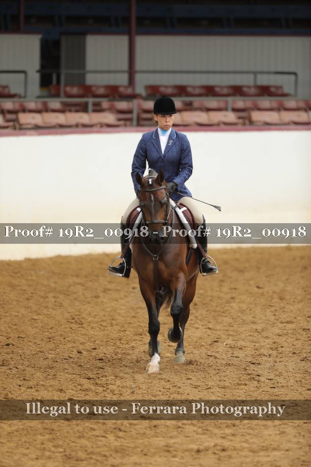 Proof 19R2_00918