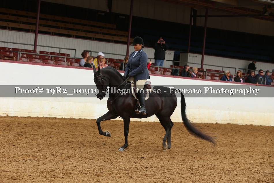 Proof 19R2_00919