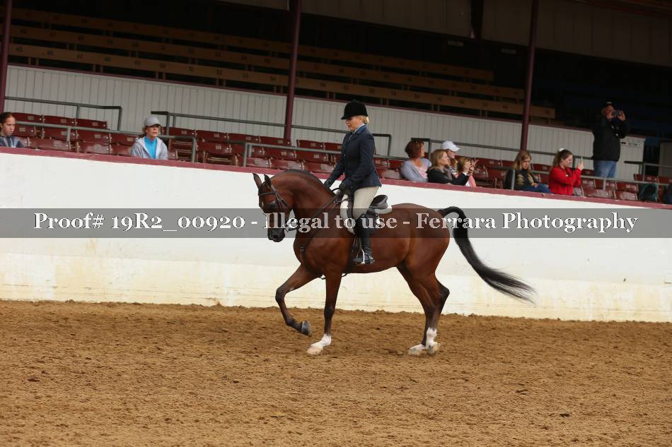 Proof 19R2_00920