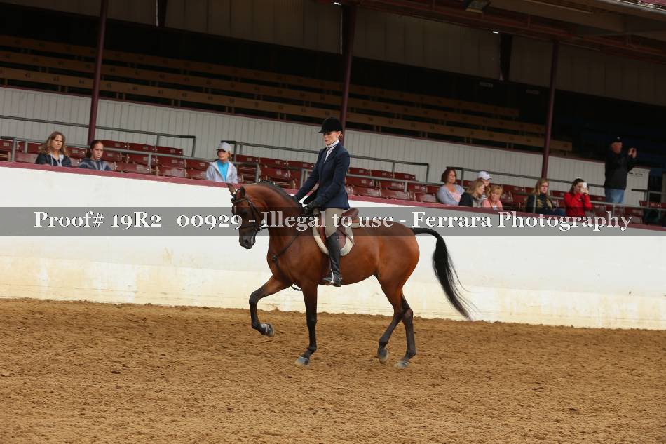 Proof 19R2_00929