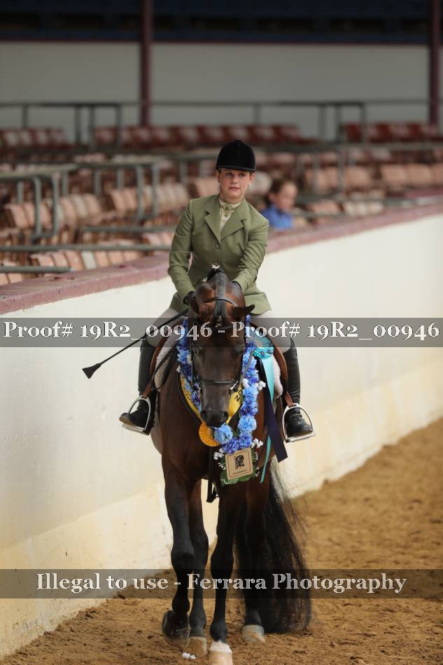Proof 19R2_00946