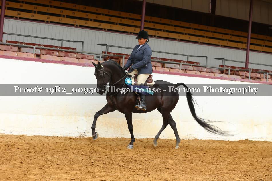 Proof 19R2_00950
