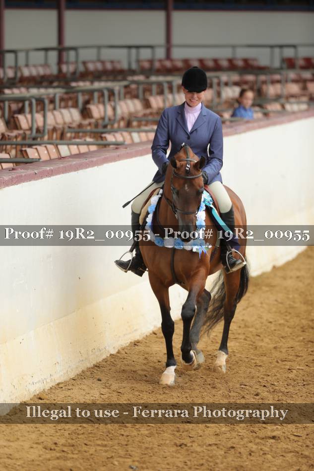 Proof 19R2_00955