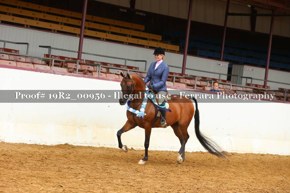 Proof 19R2_00956
