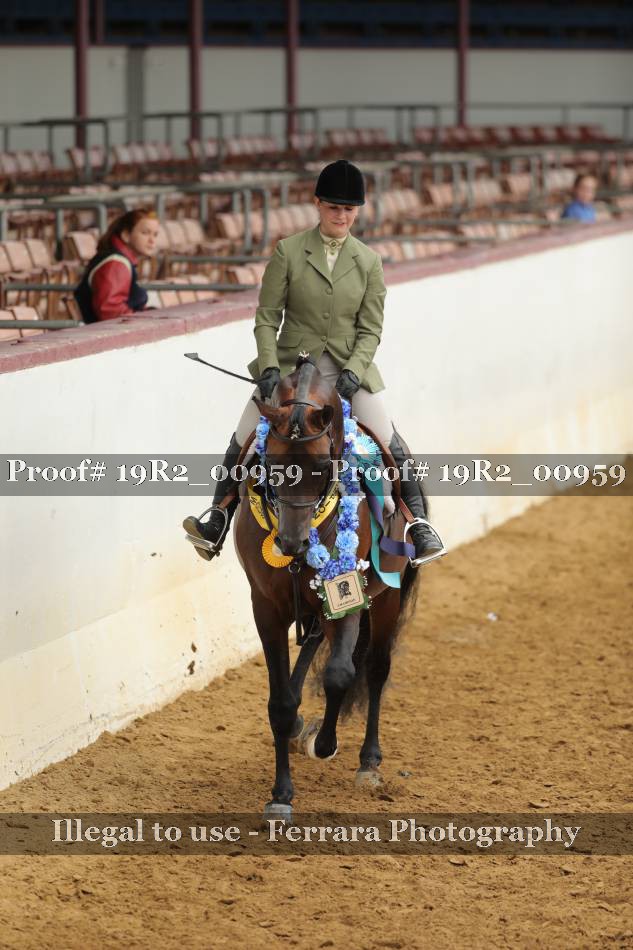 Proof 19R2_00959